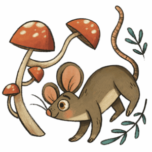Illustration of a mouse with some red and white spotted mushrooms